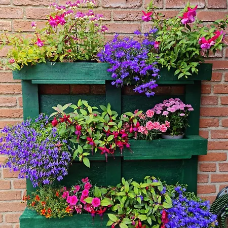 Pension Buetterich * Husum (Schleswig-Holstein)