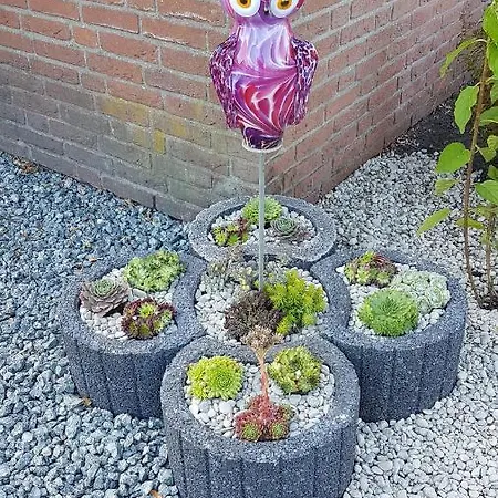 Pension Buetterich Pansiyon *